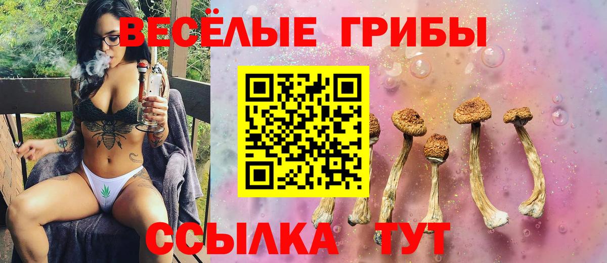 Псилоцибиновые грибы MAGIC MUSHROOMS  Галлюциногенные грибы прущие грибы  Вход с VPN  Благовещенск 